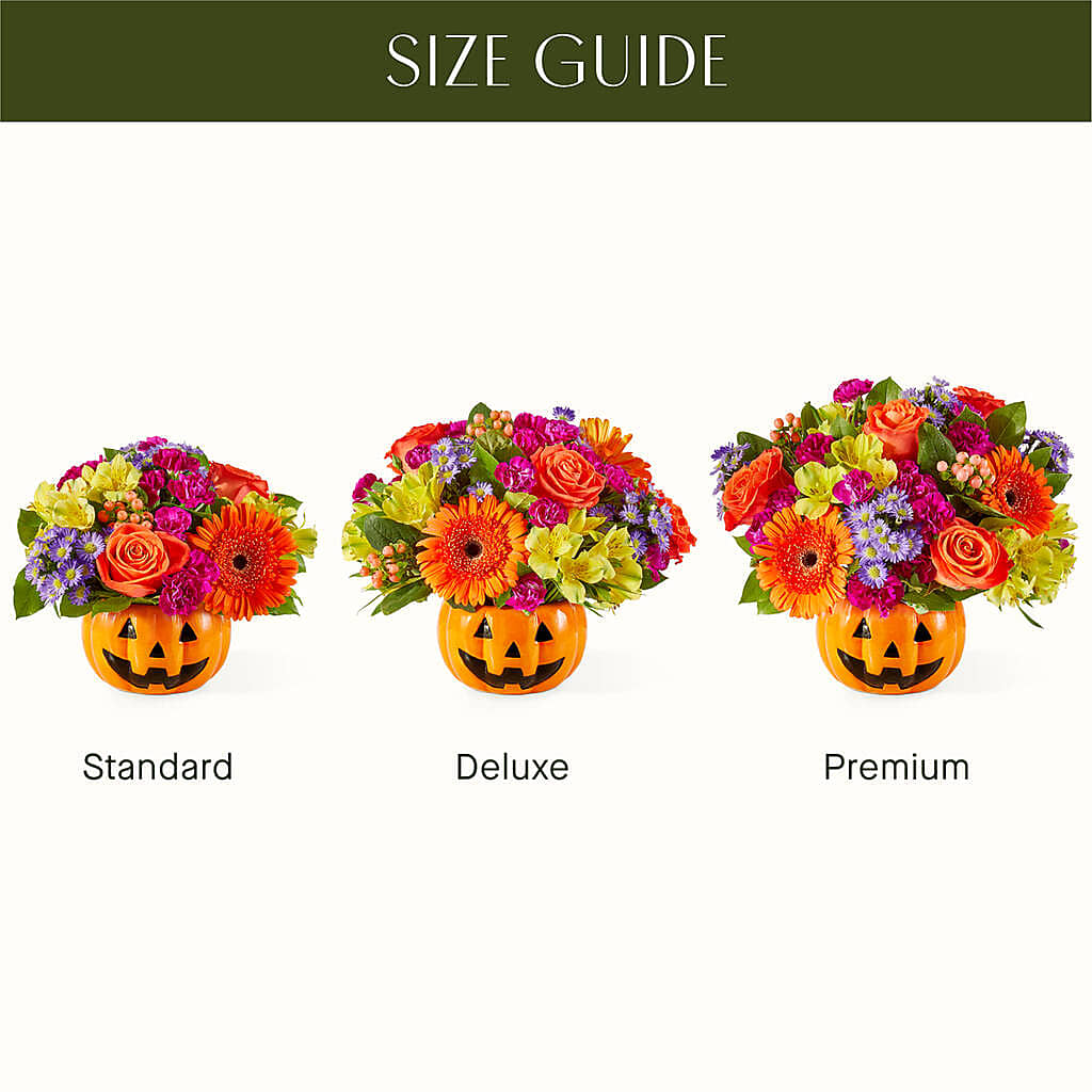 Tricks & Treats Pumpkin – Konbit Flowers Group Llc, Brooklyn NY