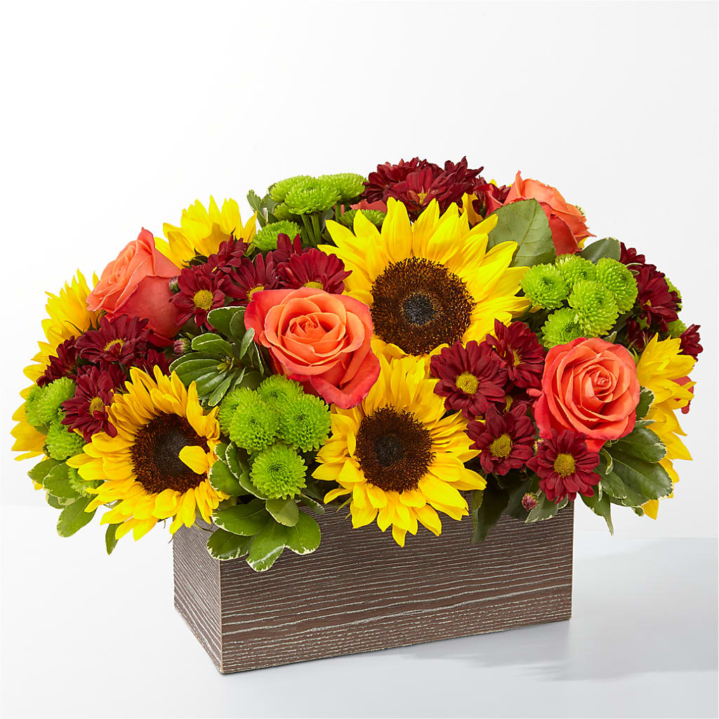Happy Harvest Garden – Konbit Flowers Group Llc, Brooklyn NY