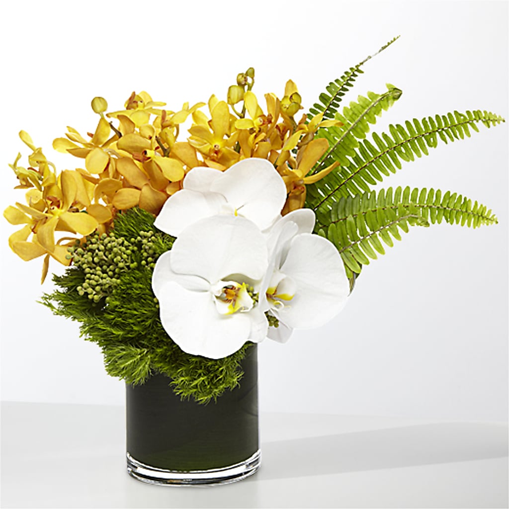 The Tropics – Konbit Flowers Group Llc, Brooklyn NY