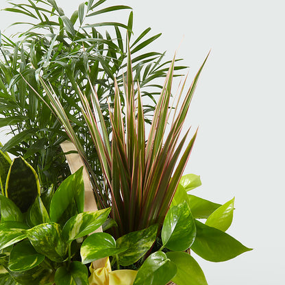 French Garden –  Konbit Flowers Group Llc, Brooklyn NY