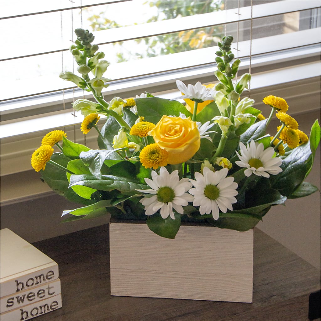 Sun Salutation Box Bouquet –  Konbit Flowers Group Llc, Brooklyn NY