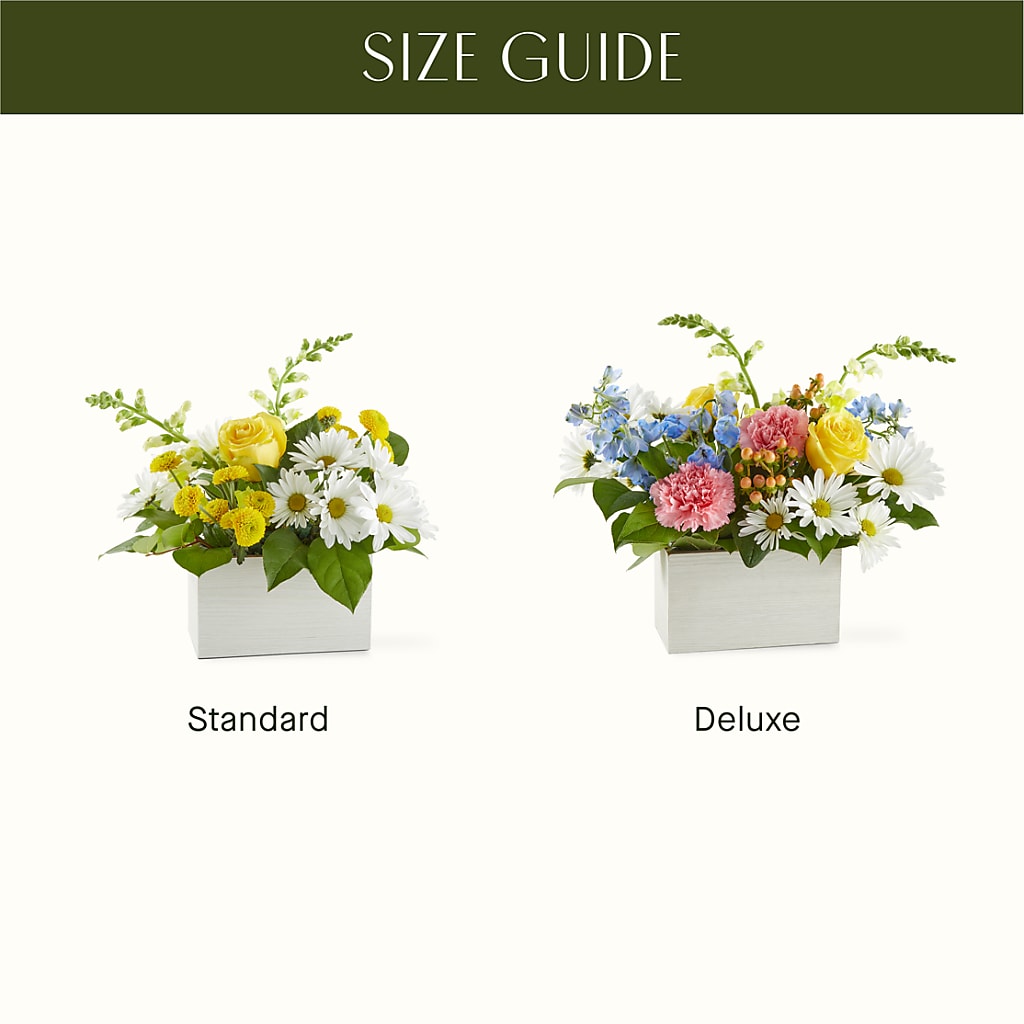 Sun Salutation Box Bouquet –  Konbit Flowers Group Llc, Brooklyn NY