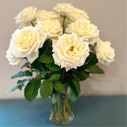 Long Stem Yellow Rose Bouquet –  Konbit Flowers Group Llc, Brooklyn NY