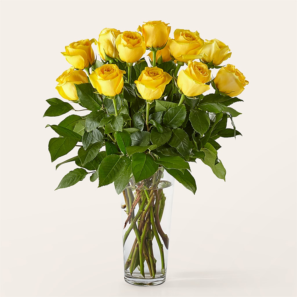 Long Stem Yellow Rose Bouquet –  Konbit Flowers Group Llc, Brooklyn NY
