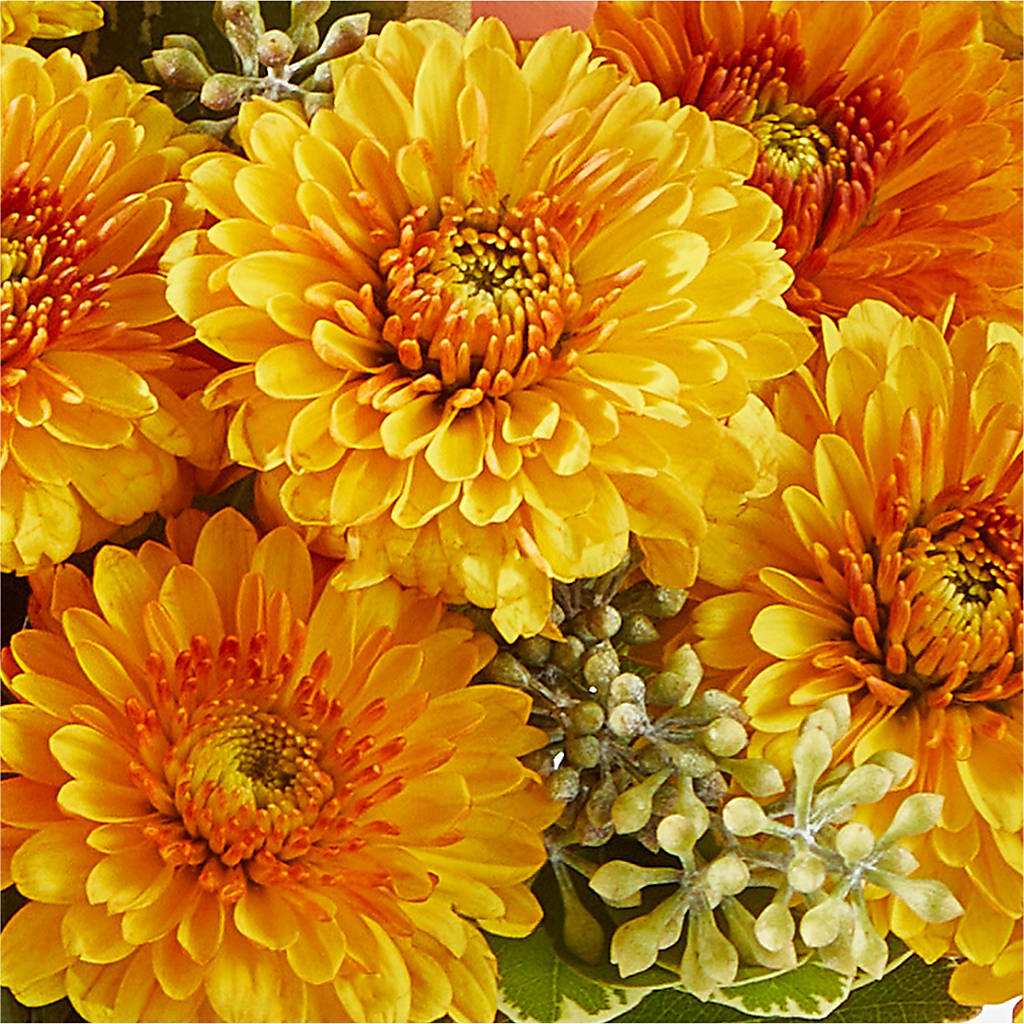 Peachy Pumpkin –  Konbit Flowers Group Llc, Brooklyn NY