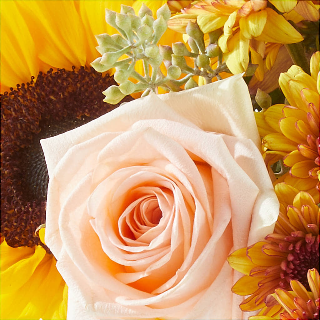 Pumpkin to Talk About Bouquet –  Konbit Flowers Group Llc, Brooklyn NY