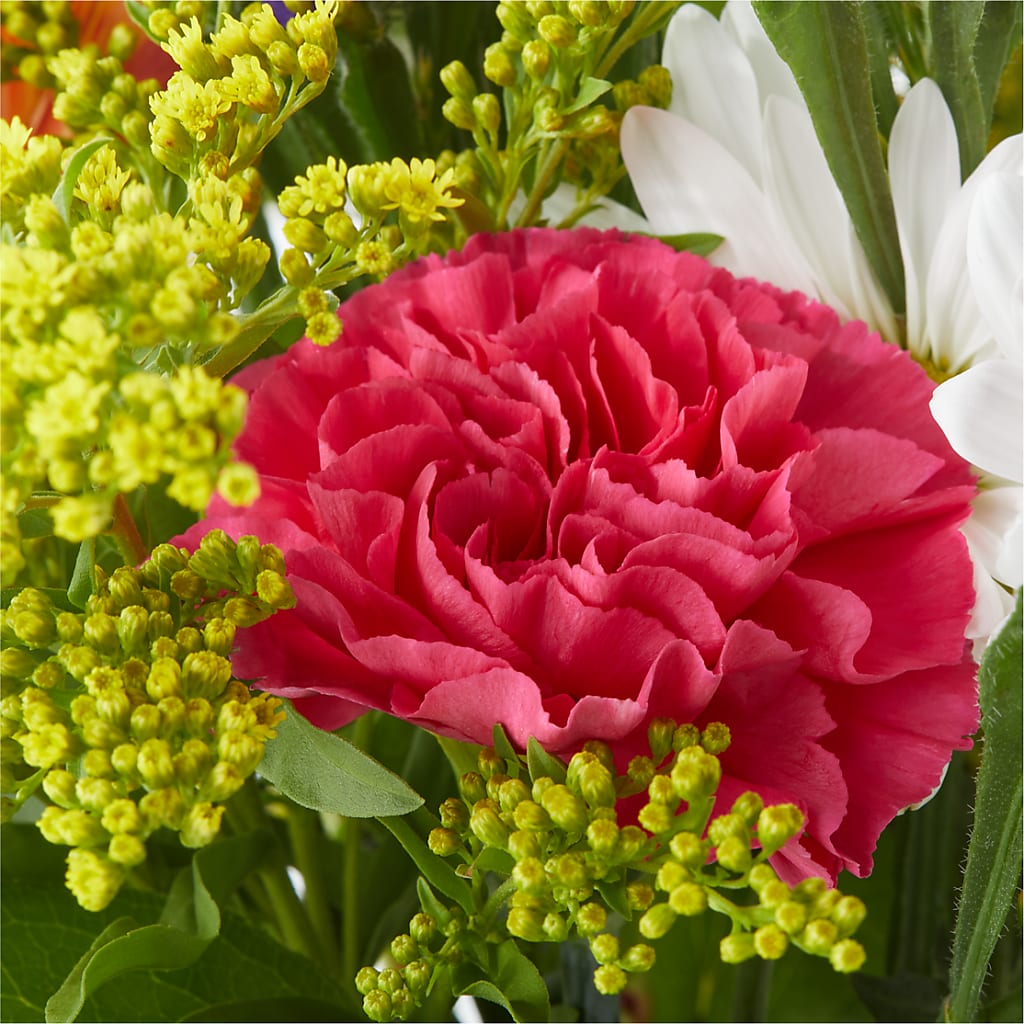 Oopsie Daisy Bouquet –  Konbit Flowers Group Llc, Brooklyn NY