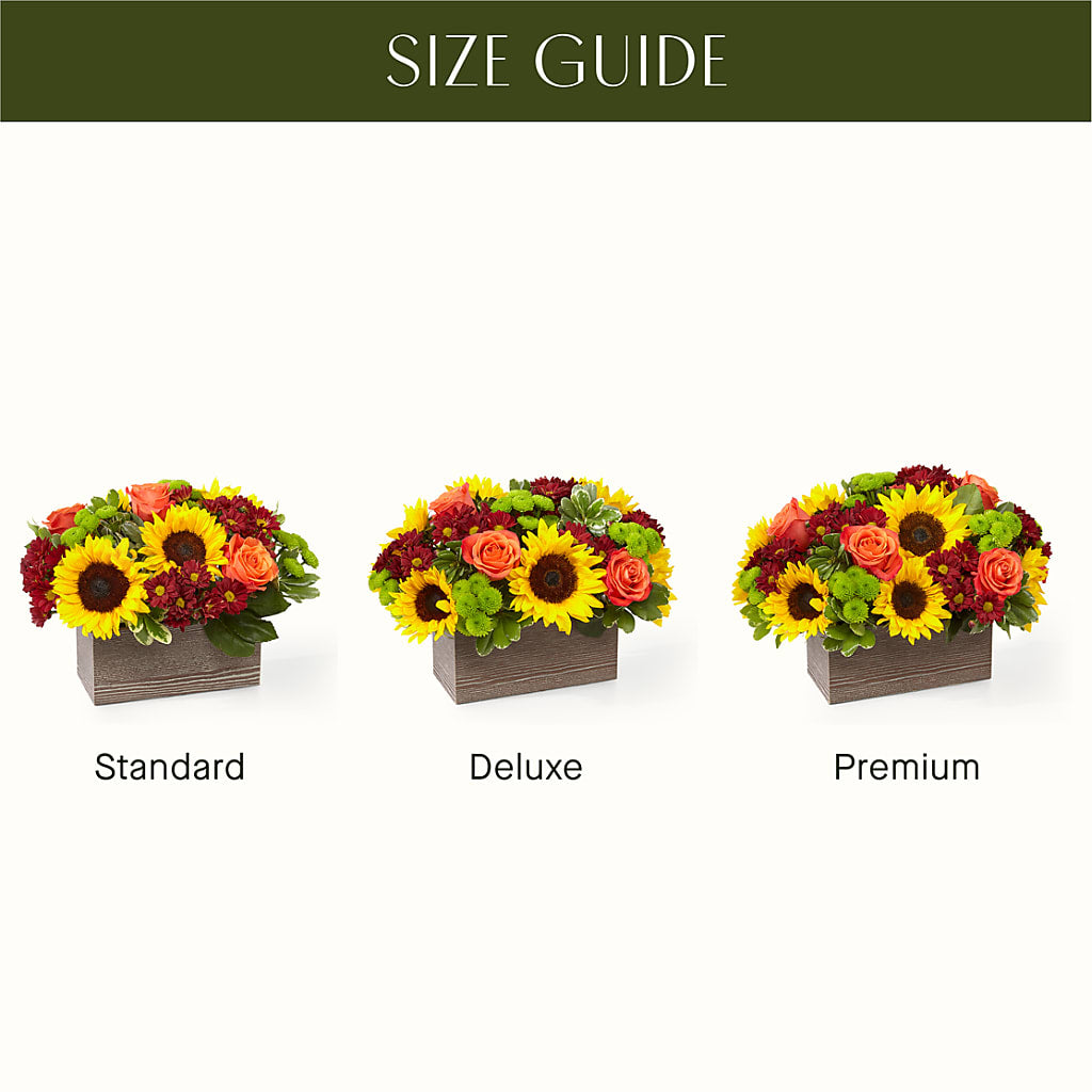 Happy Harvest Garden –  Konbit Flowers Group Llc, Brooklyn NY