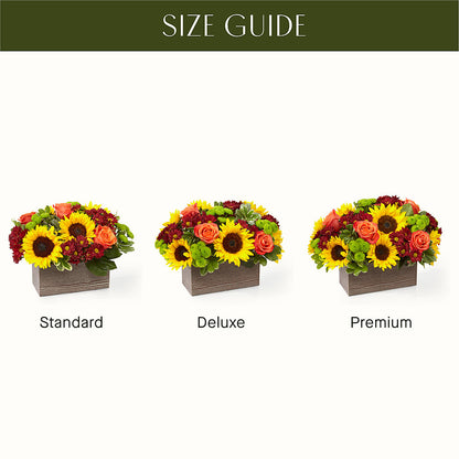Happy Harvest Garden –  Konbit Flowers Group Llc, Brooklyn NY