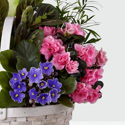 Peaceful Garden Planter –  Konbit Flowers Group Llc, Brooklyn NY