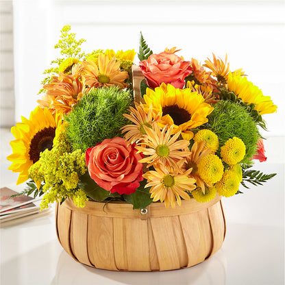 Harvest Sunflower Basket –  Konbit Flowers Group Llc, Brooklyn NY