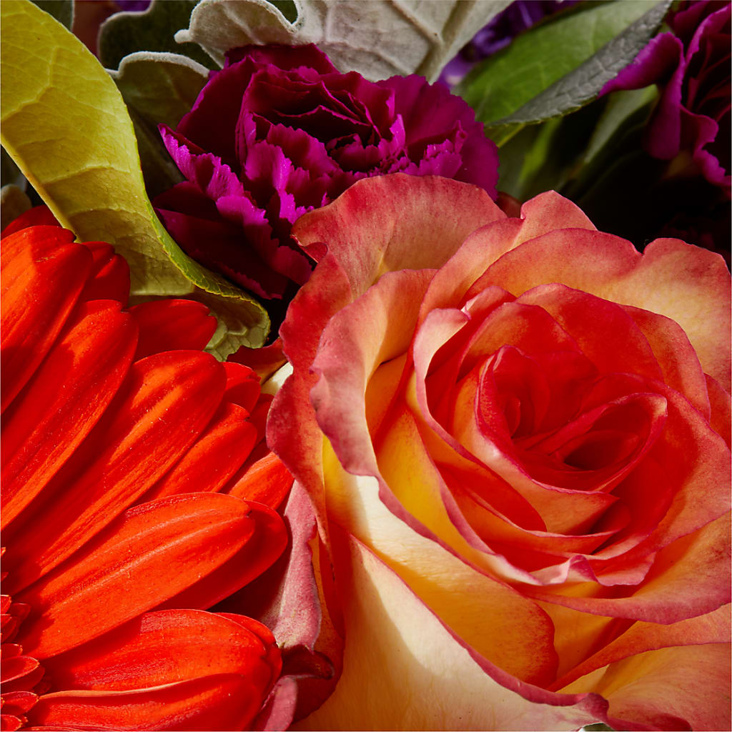 Sangria Bouquet –  Konbit Flowers Group Llc, Brooklyn NY