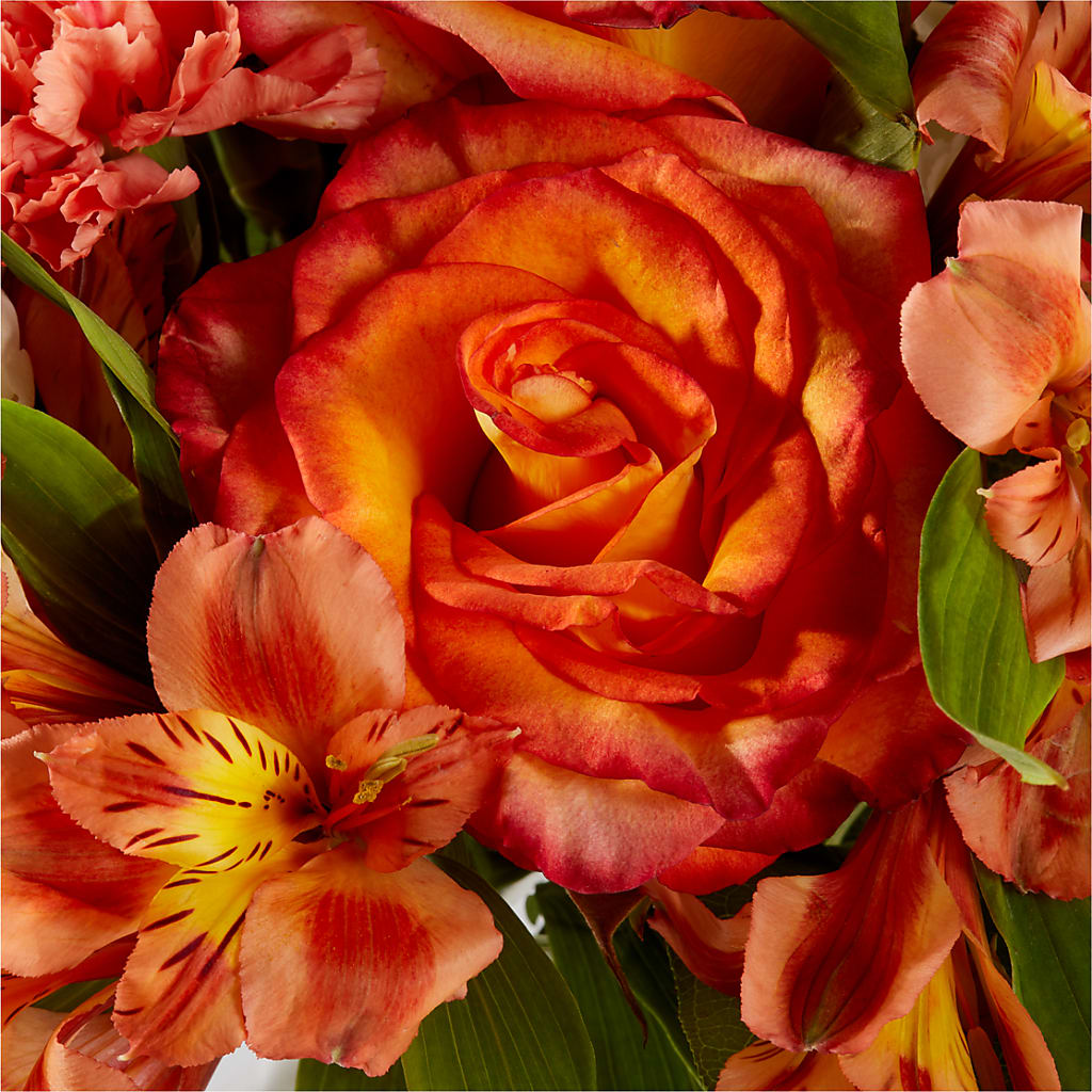 Apricot Glow Bouquet –  Konbit Flowers Group Llc, Brooklyn NY