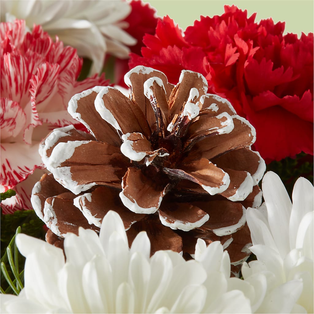 Candy Cane Lane Bouquet –  Konbit Flowers Group Llc, Brooklyn NY