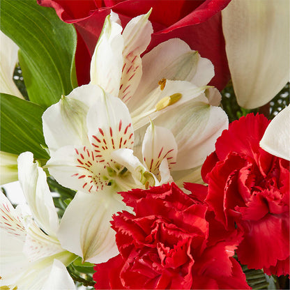 Holiday Season Bouquet –  Konbit Flowers Group Llc, Brooklyn NY