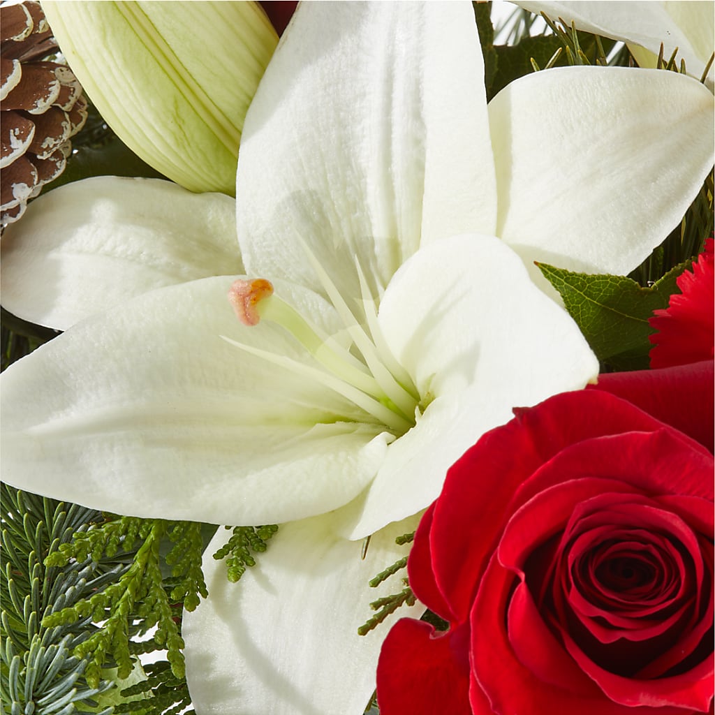 Oh So Jolly Bouquet –  Konbit Flowers Group Llc, Brooklyn NY