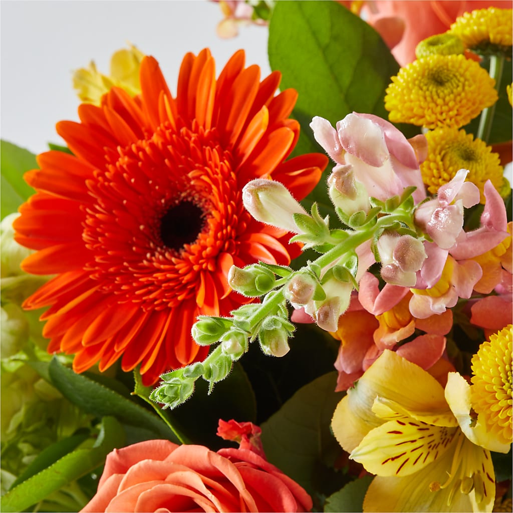 Autumn Sunshine Bouquet –  Konbit Flowers Group Llc, Brooklyn NY