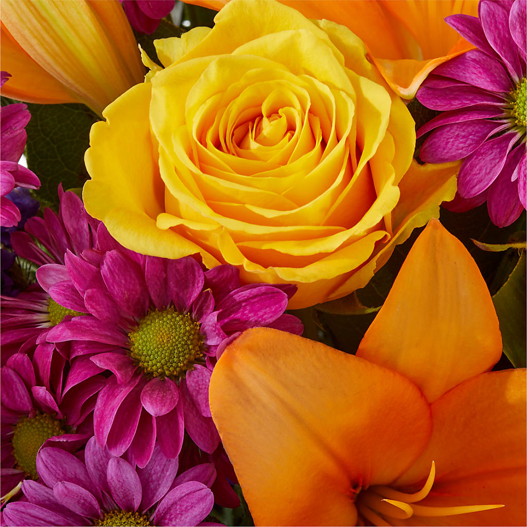 Colorful Visions Bouquet –  Konbit Flowers Group Llc, Brooklyn NY