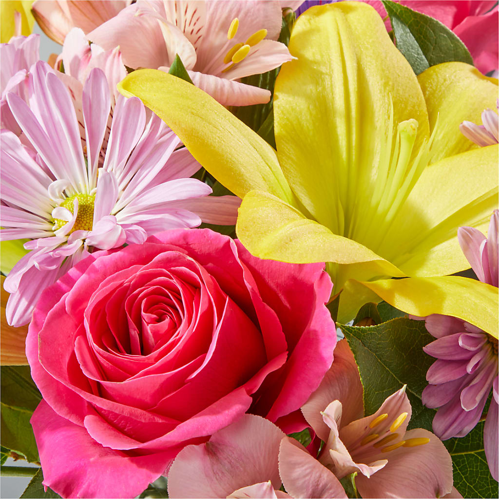 Sprinkles Bouquet –  Konbit Flowers Group Llc, Brooklyn NY