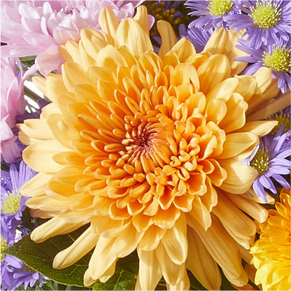 Countryside Bouquet –  Konbit Flowers Group Llc, Brooklyn NY
