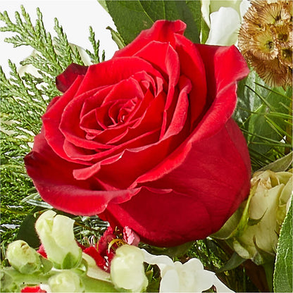 Deck the Halls Bouquet –  Konbit Flowers Group Llc, Brooklyn NY