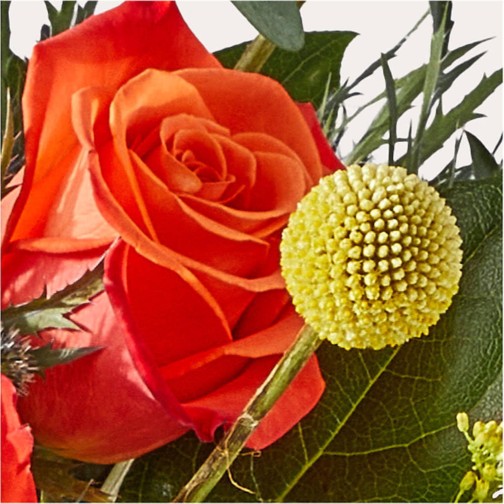 Disco Bouquet –  Konbit Flowers Group Llc, Brooklyn NY