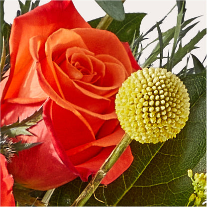 Disco Bouquet –  Konbit Flowers Group Llc, Brooklyn NY