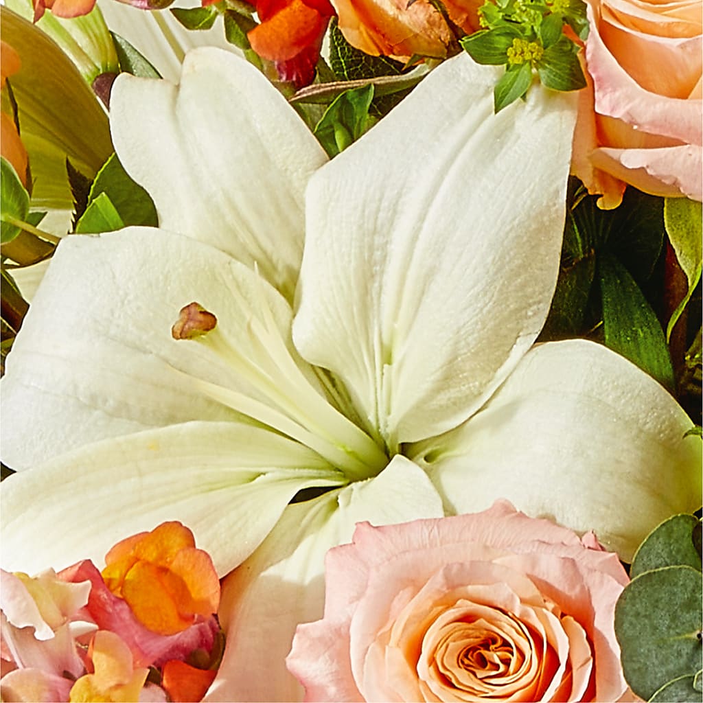 Grapefruit Splash Bouquet –  Konbit Flowers Group Llc, Brooklyn NY