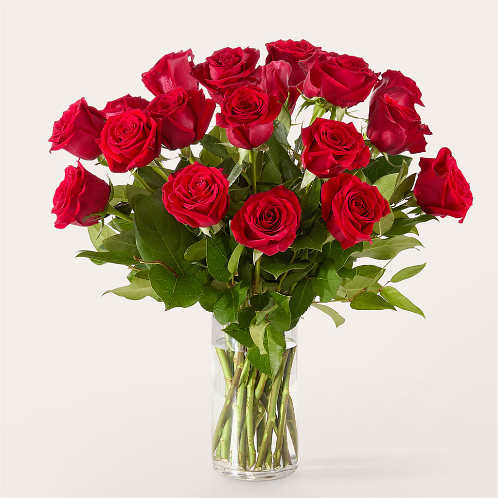 The One Red Rose Bouquet –  Konbit Flowers Group Llc, Brooklyn NY
