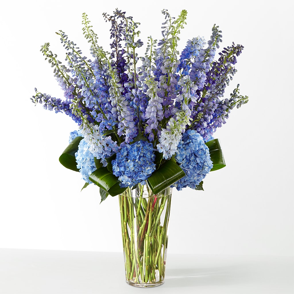 The Editorial –  Konbit Flowers Group Llc, Brooklyn NY